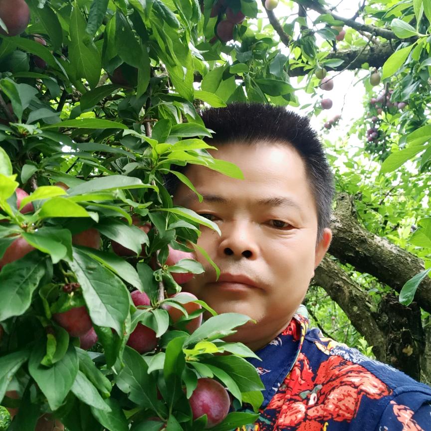 周扒皮