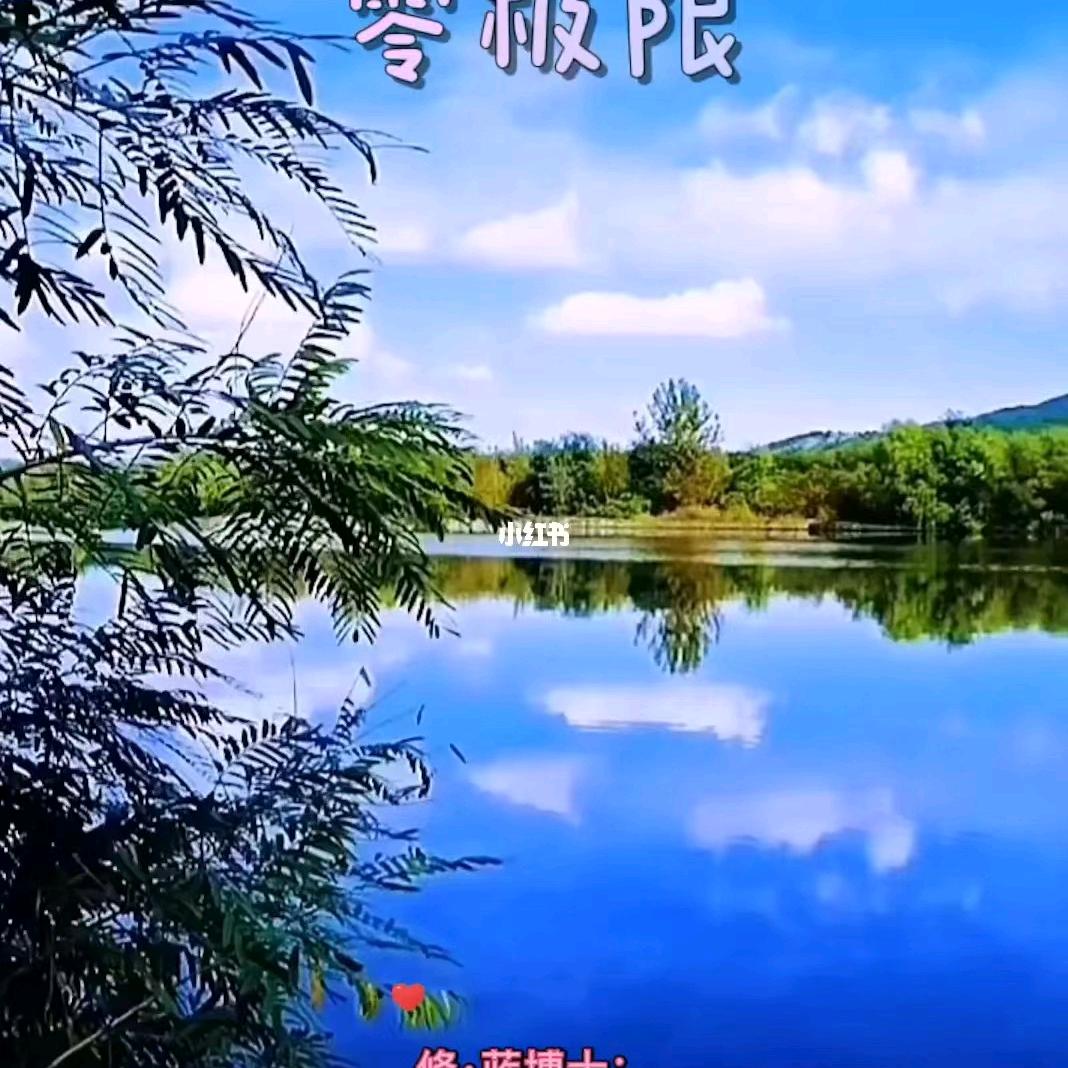 葵花——1314
