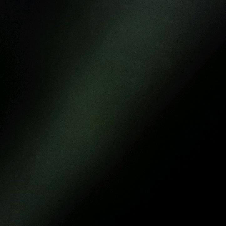 S,