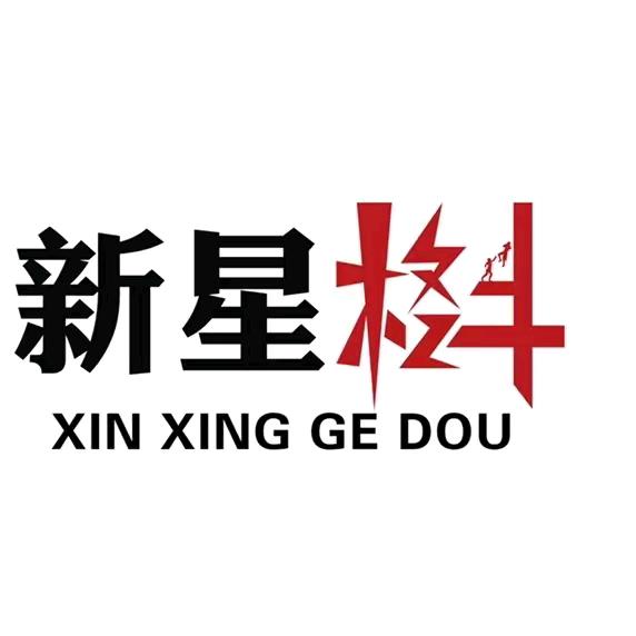 新星格斗-马教练