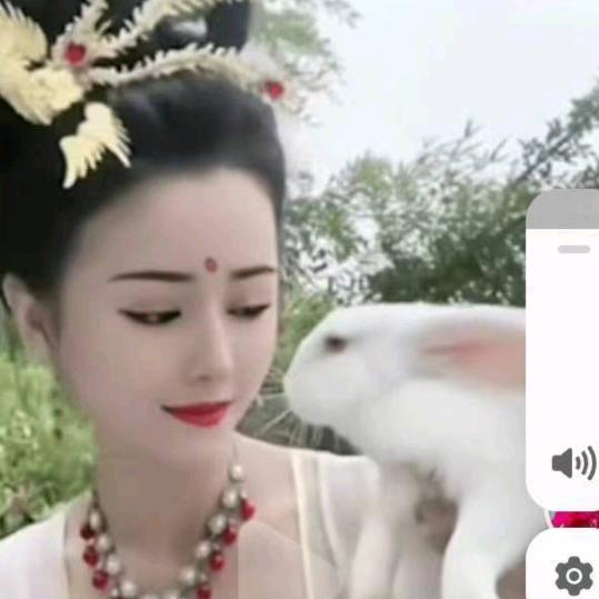 杨梦涵666