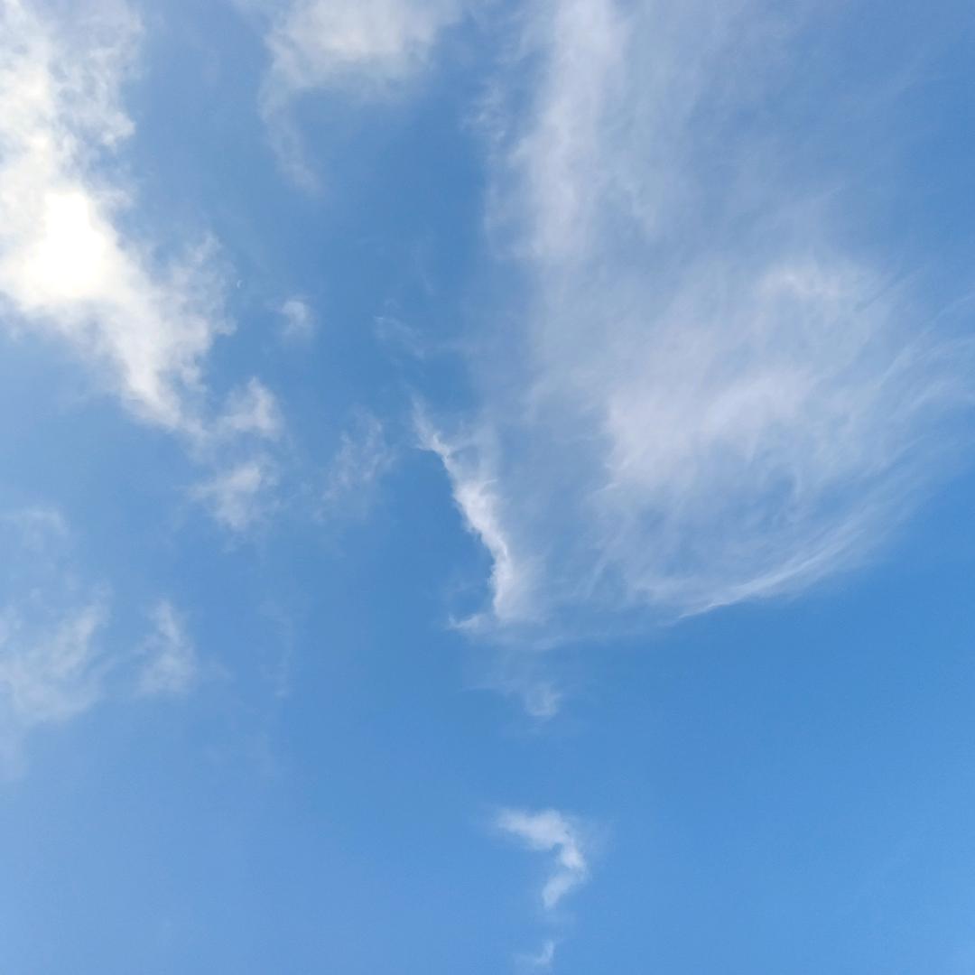 美好未来。