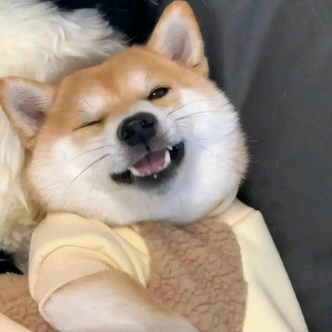 乐呵呵