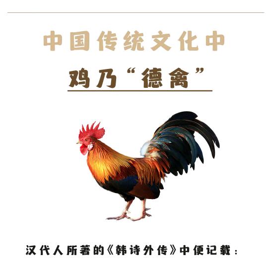 玉米鸡（的橱窗）