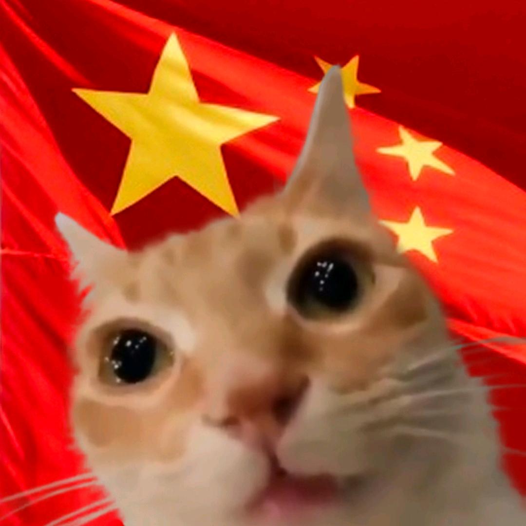 🐱