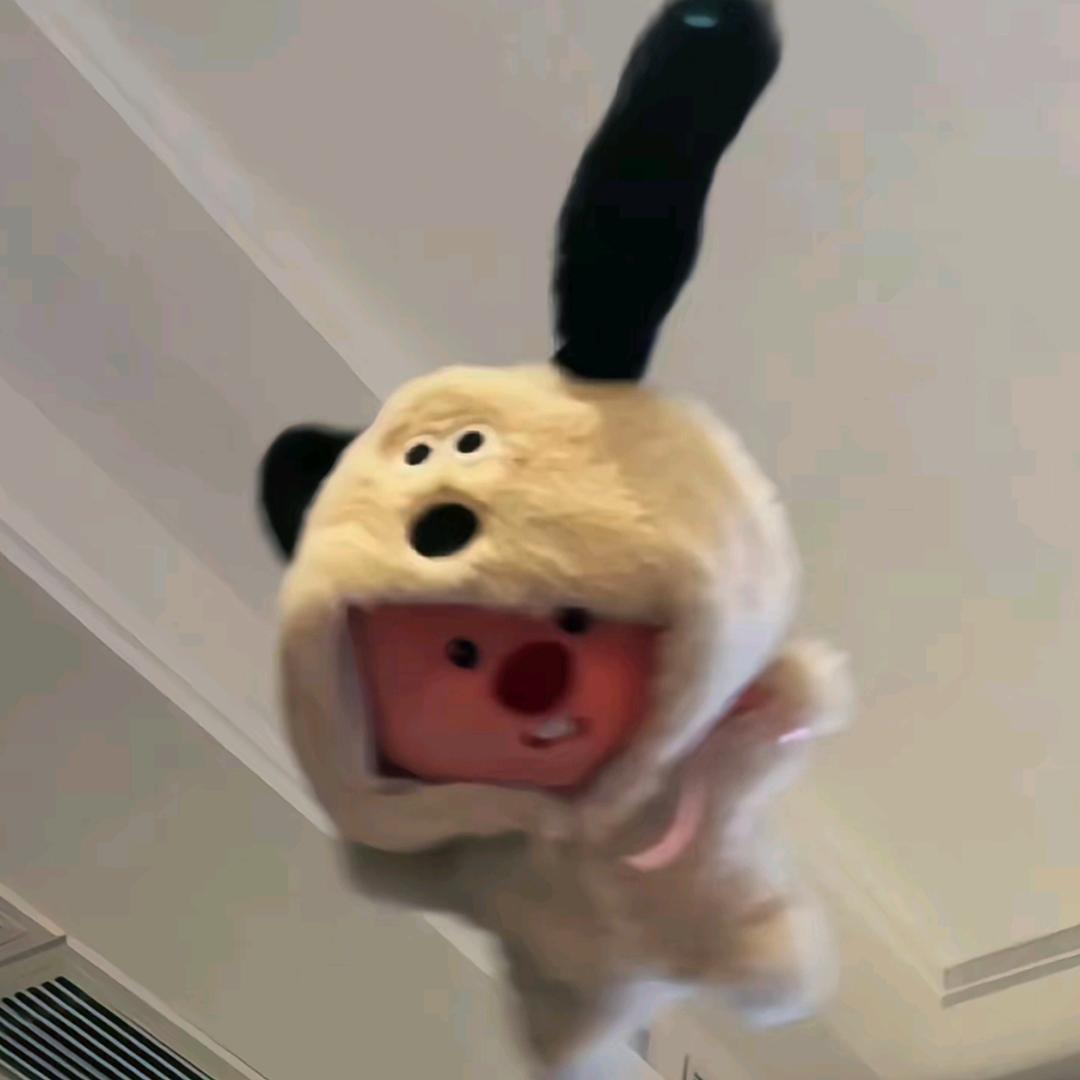傅卿尘