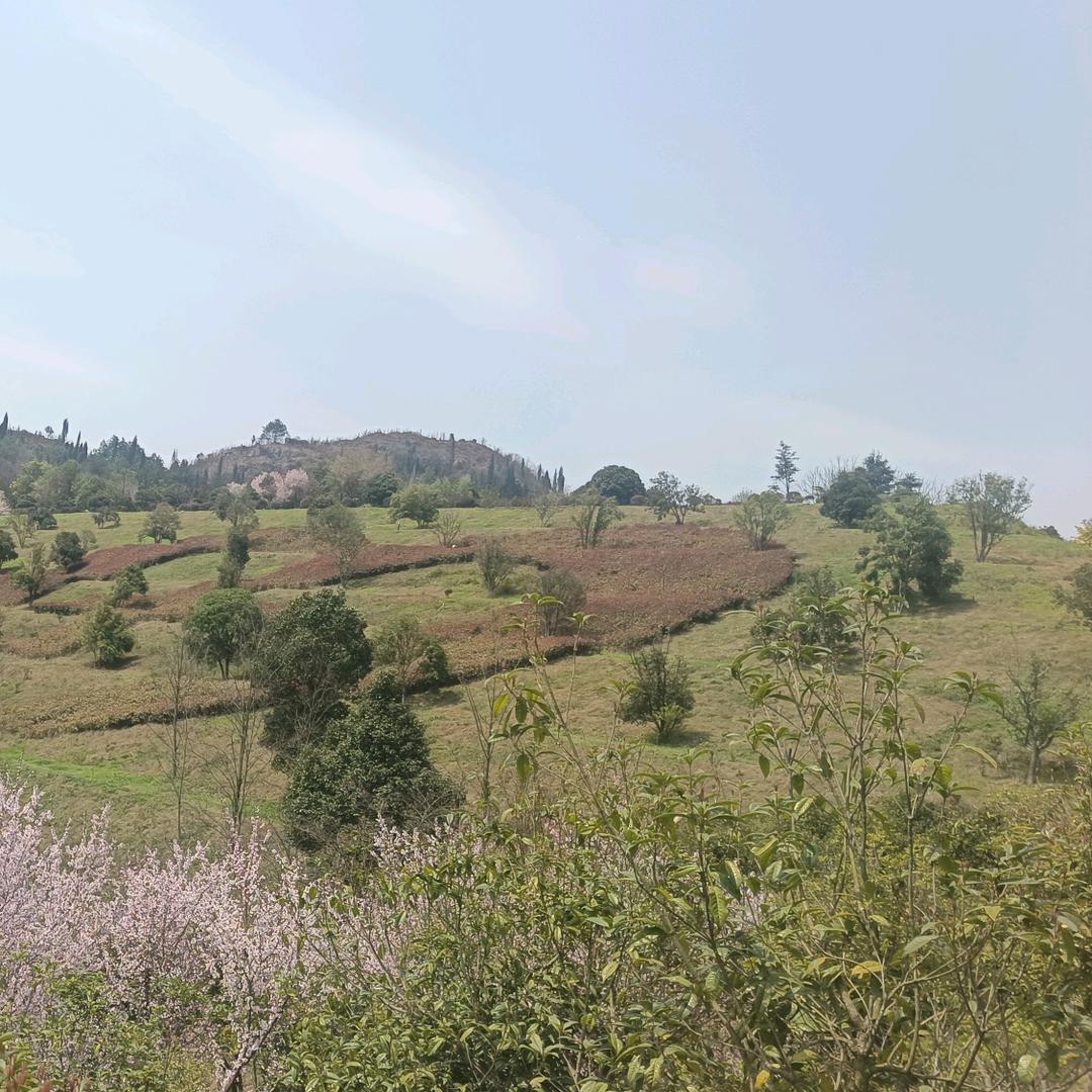 始Y颜值忠于康复