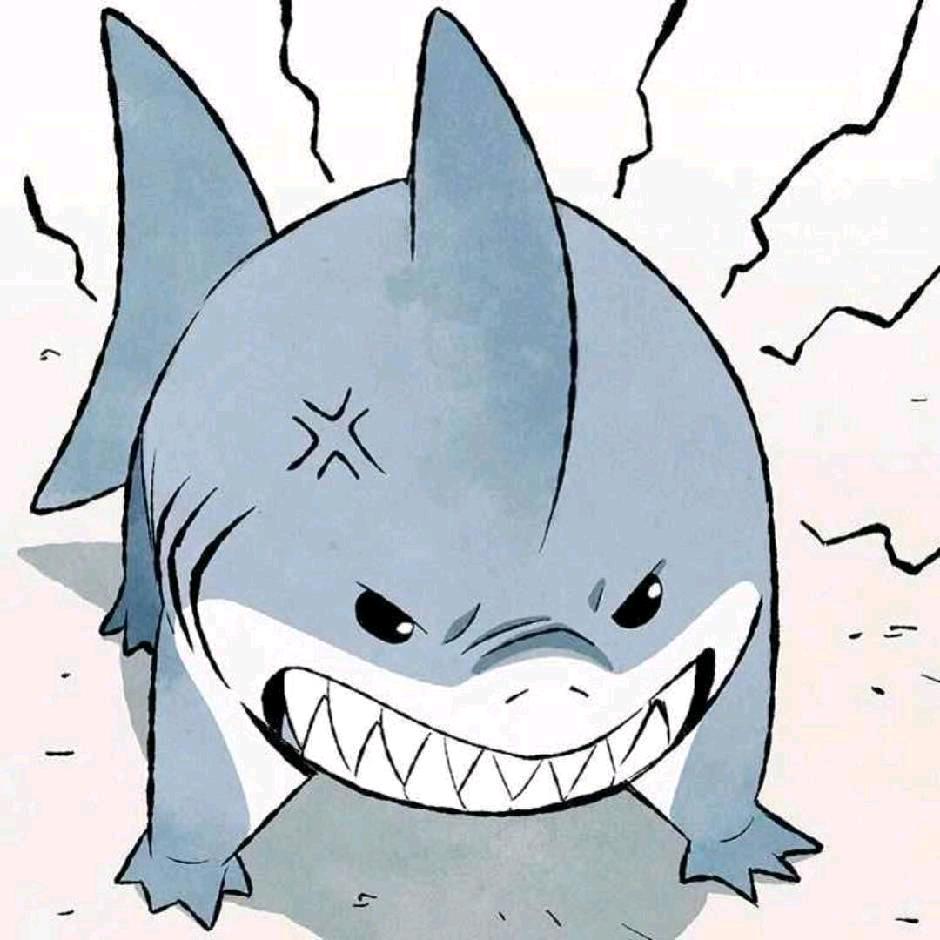🦈🦈
