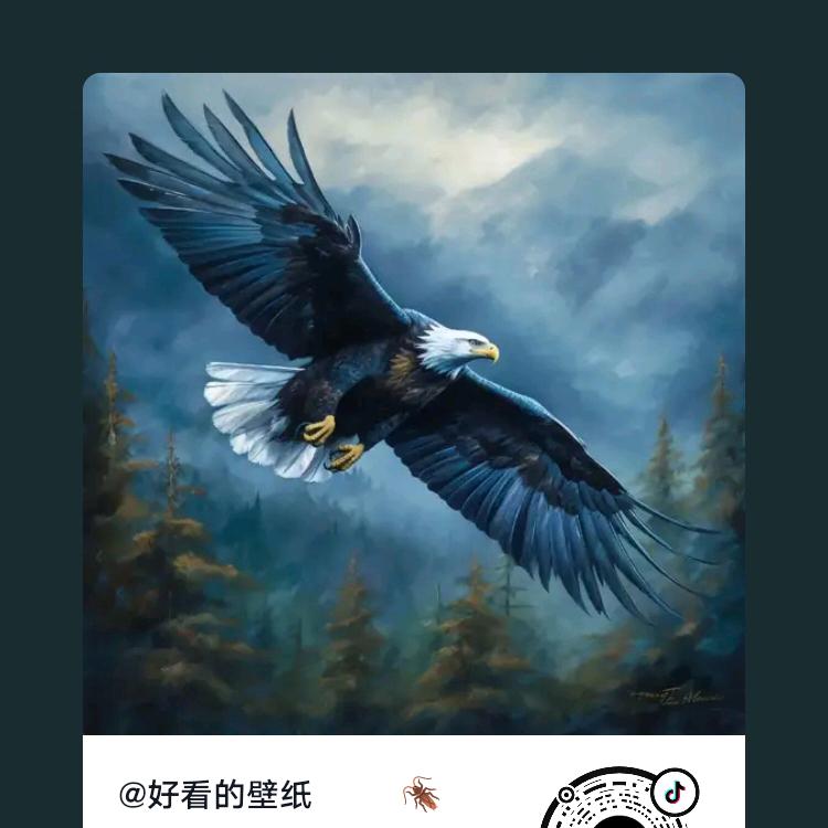 随缘❤️
