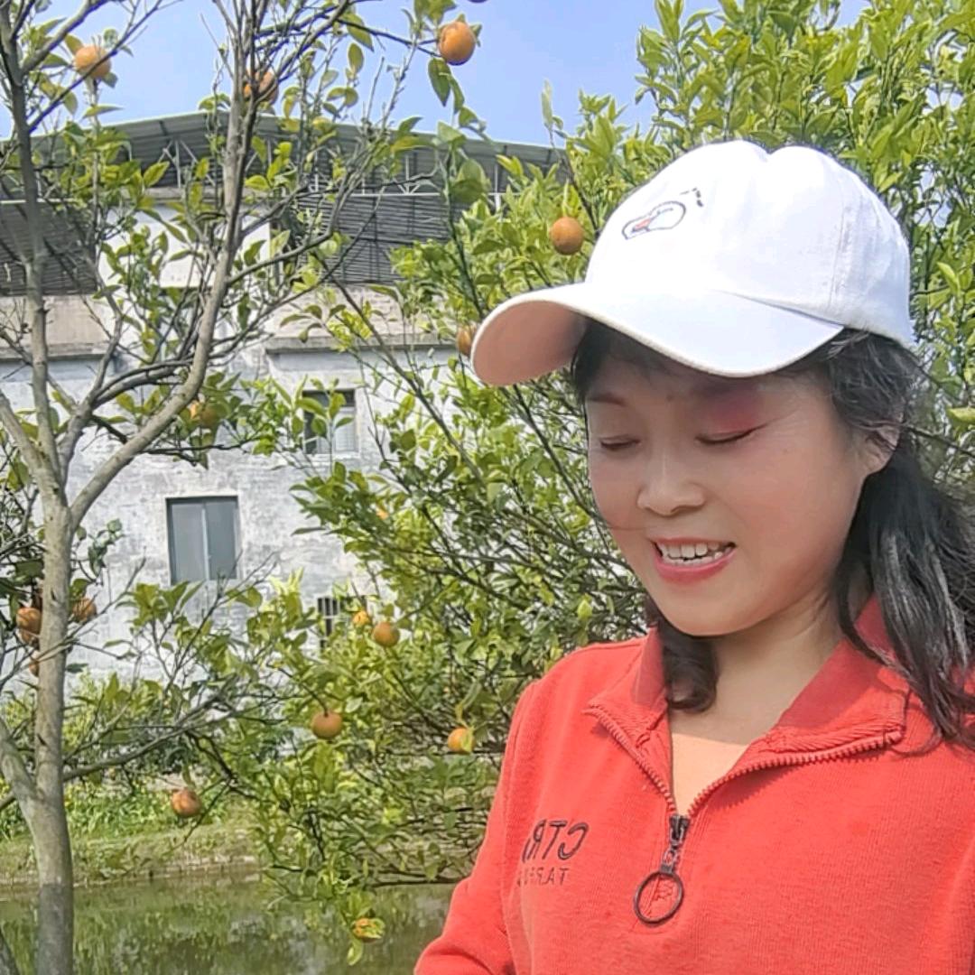 桂林  象山区  房东  直租