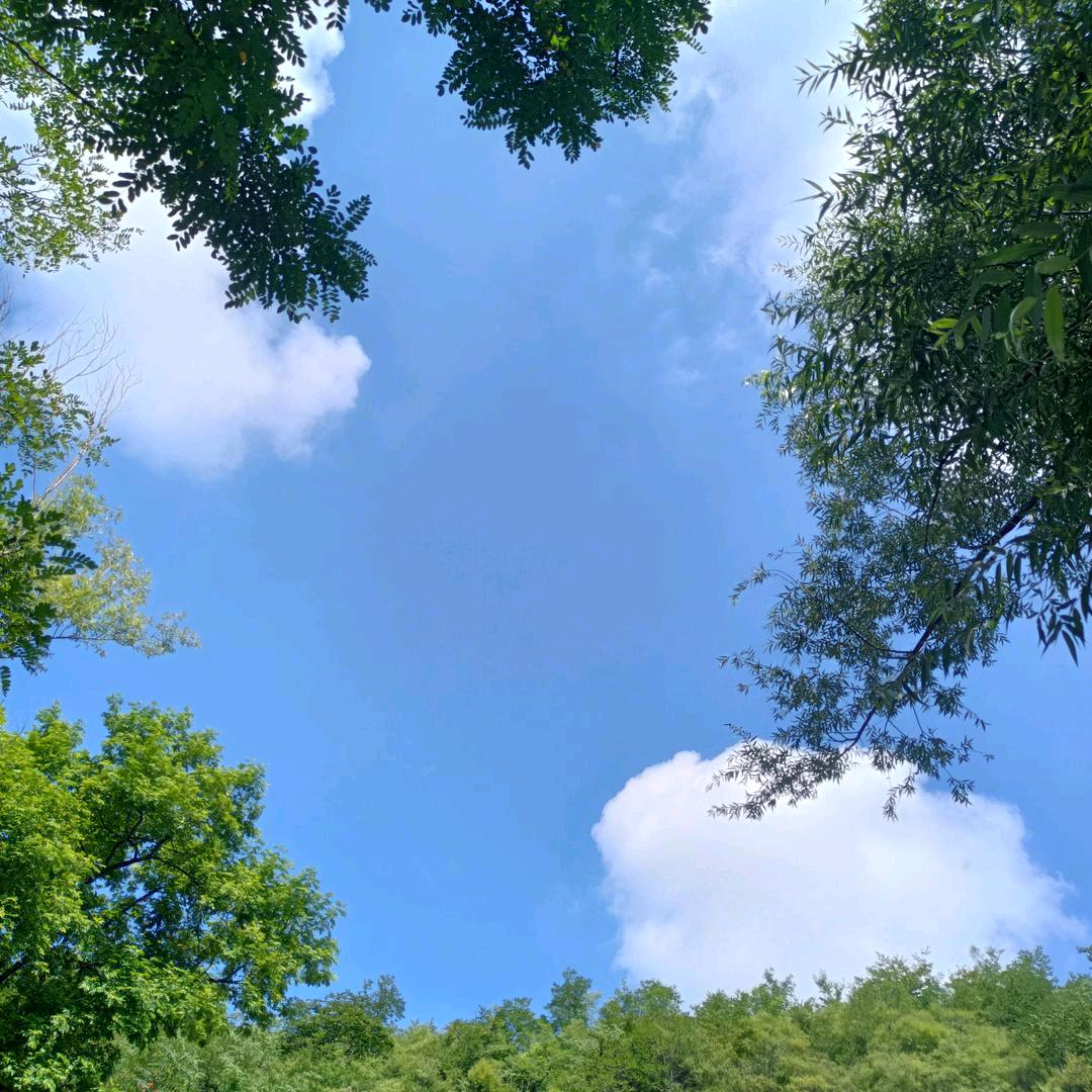 以后为自己而活加油💪💪💪