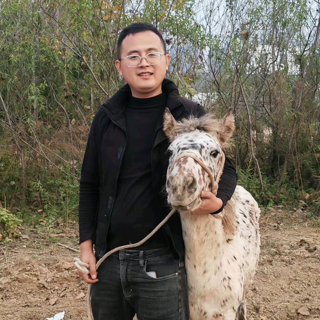 豫东疯子