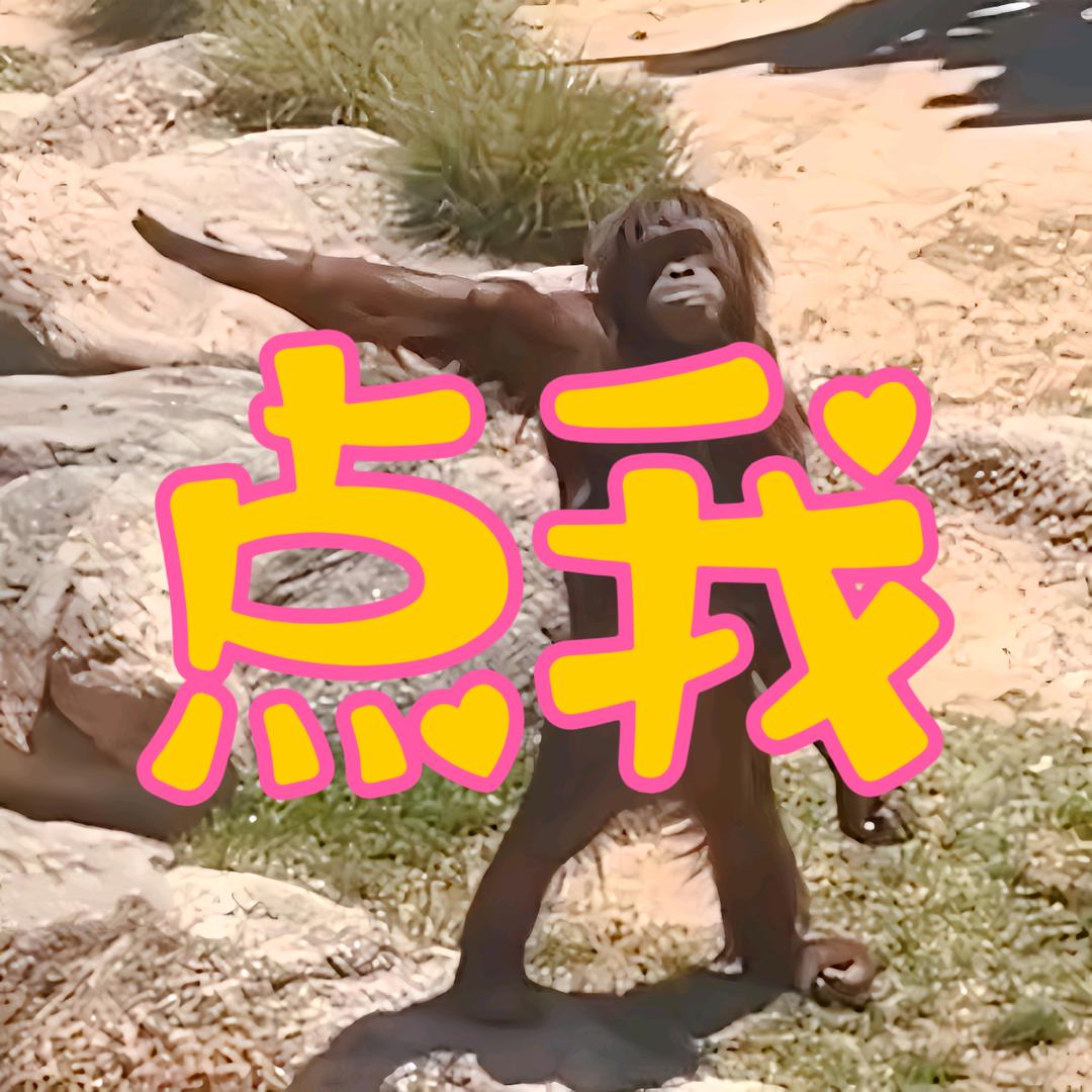 好视来乐