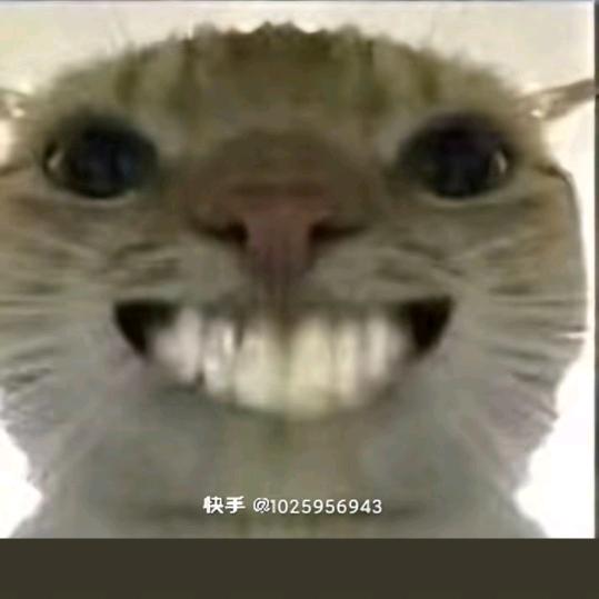 李