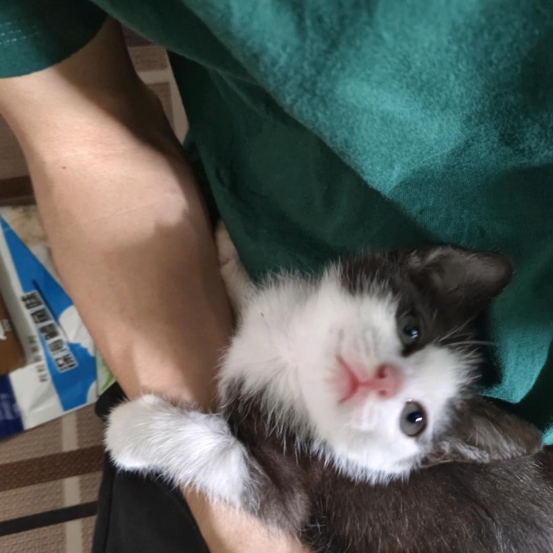 我