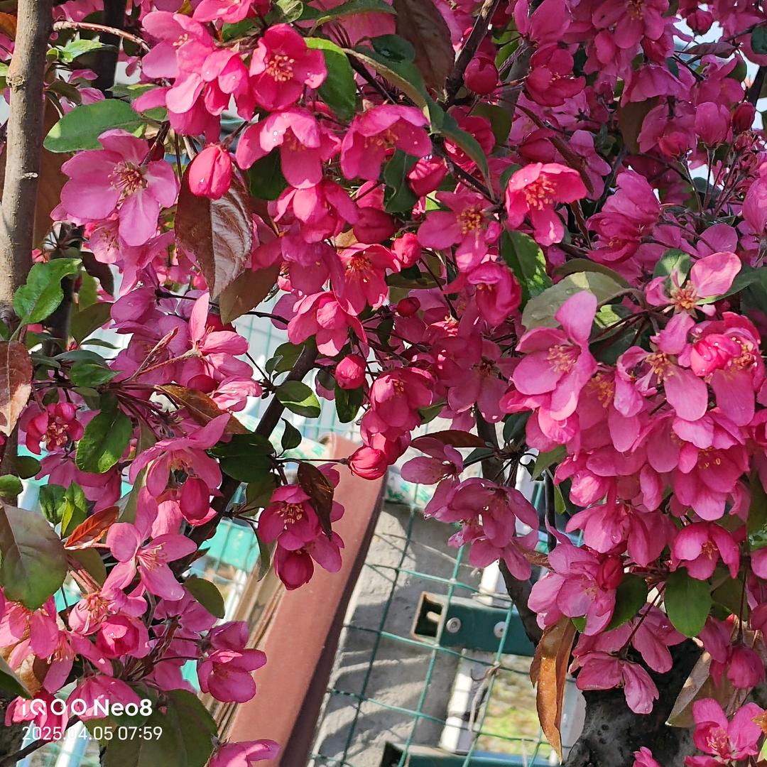 王集彩钢瓦销售中心