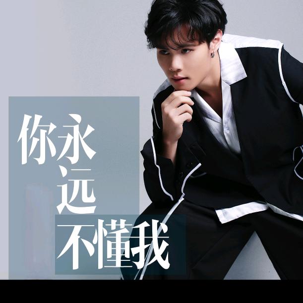 你永远不懂我
