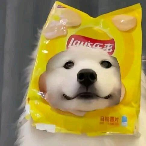 寄蜉蝣于天地