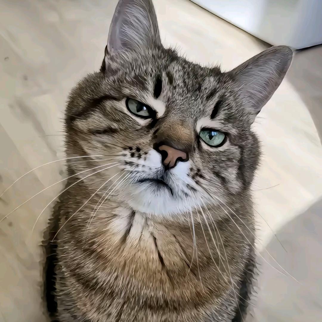 蓝绿♬