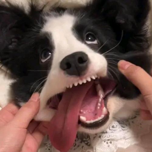 陶渊明