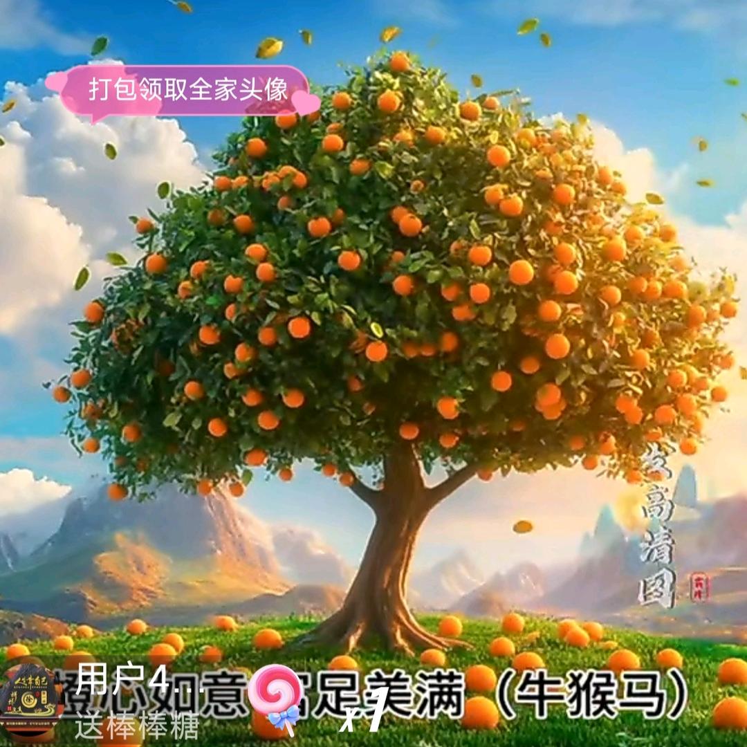 水森林（请勿连赞）