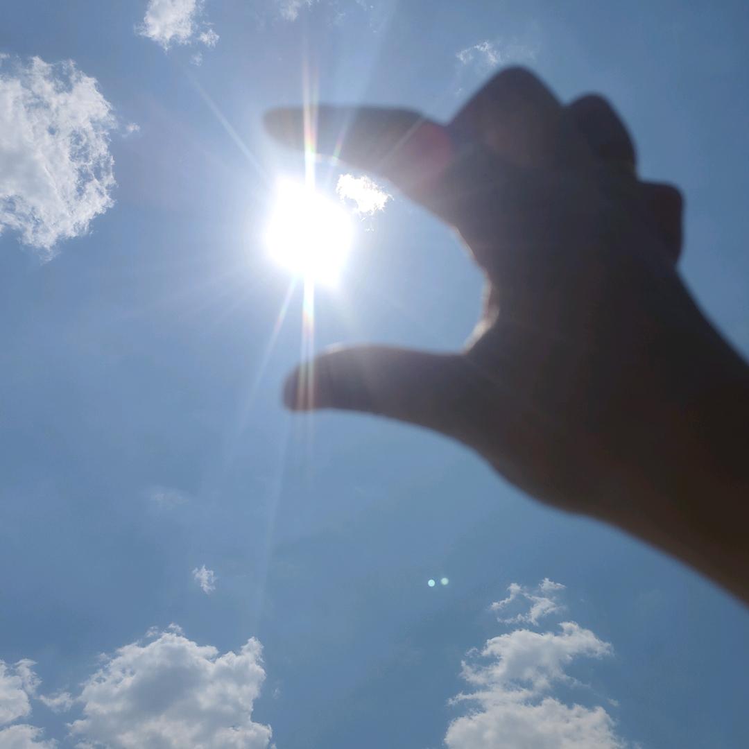 爱躺赢的小肥猪