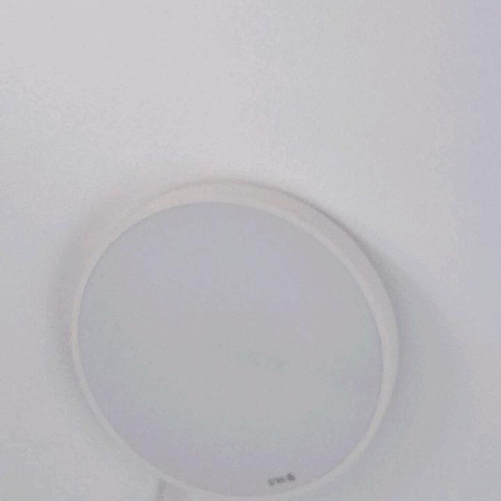 飞哥