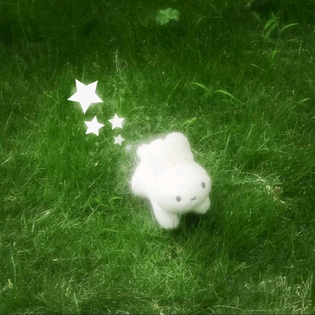 民虎大王的朋友圈🐷