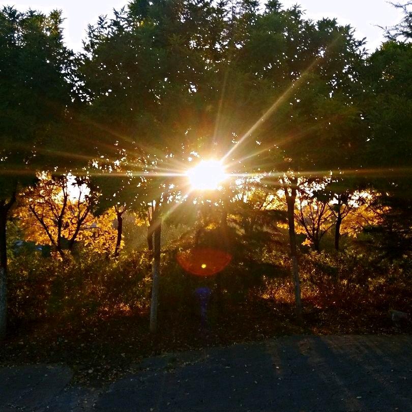 山河