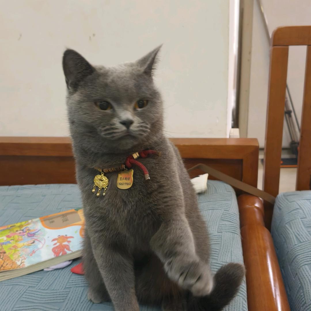 小玲，不定时直播