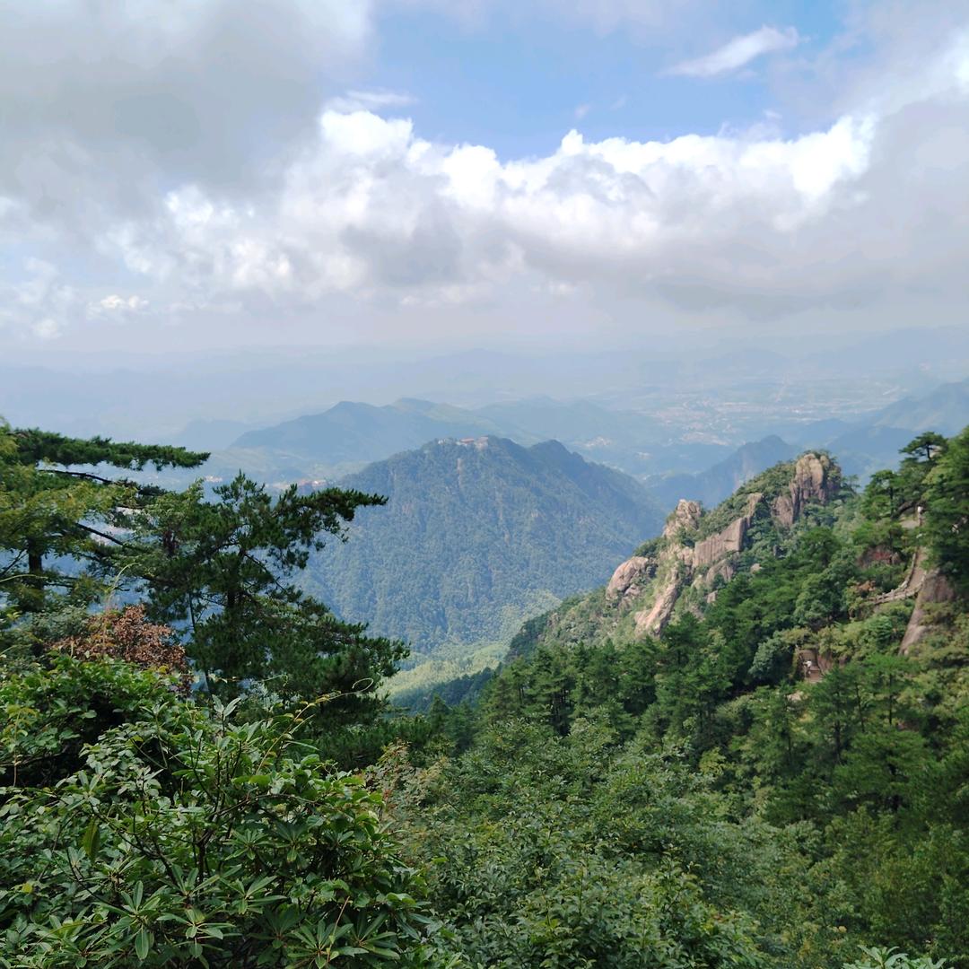 东哥旅行者