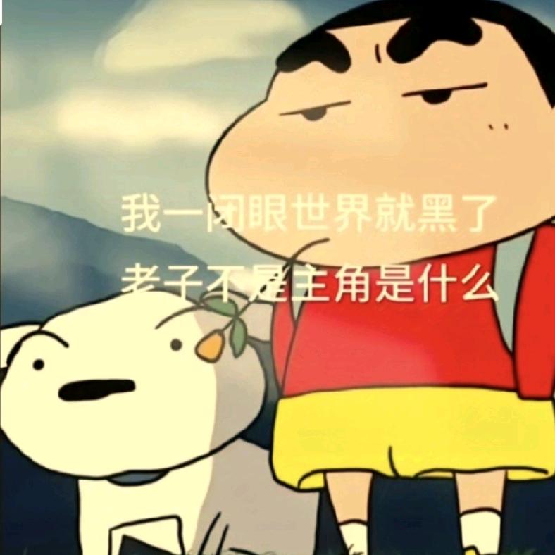 别看我只是一只狼🐺