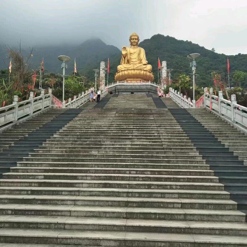 婷婷姐