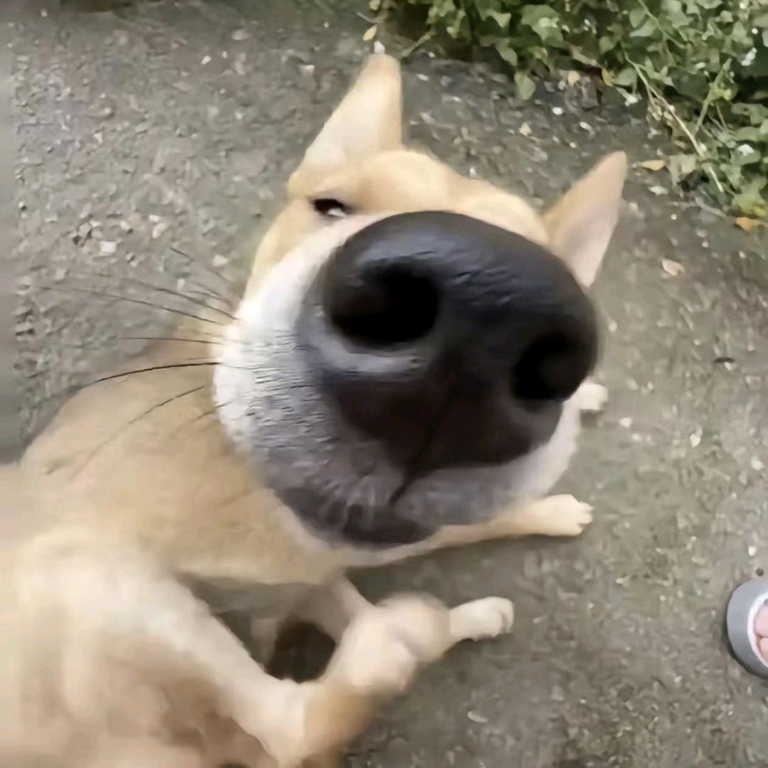 .秋.