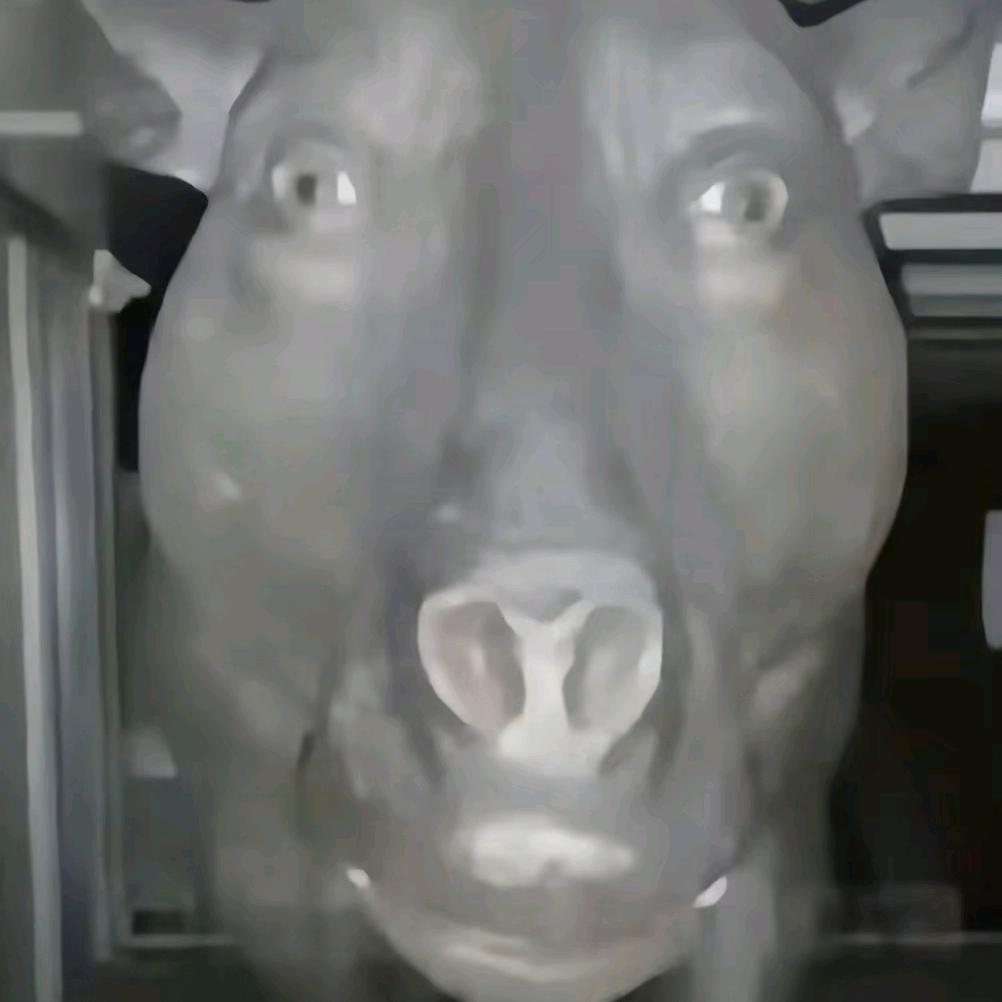 小猪博