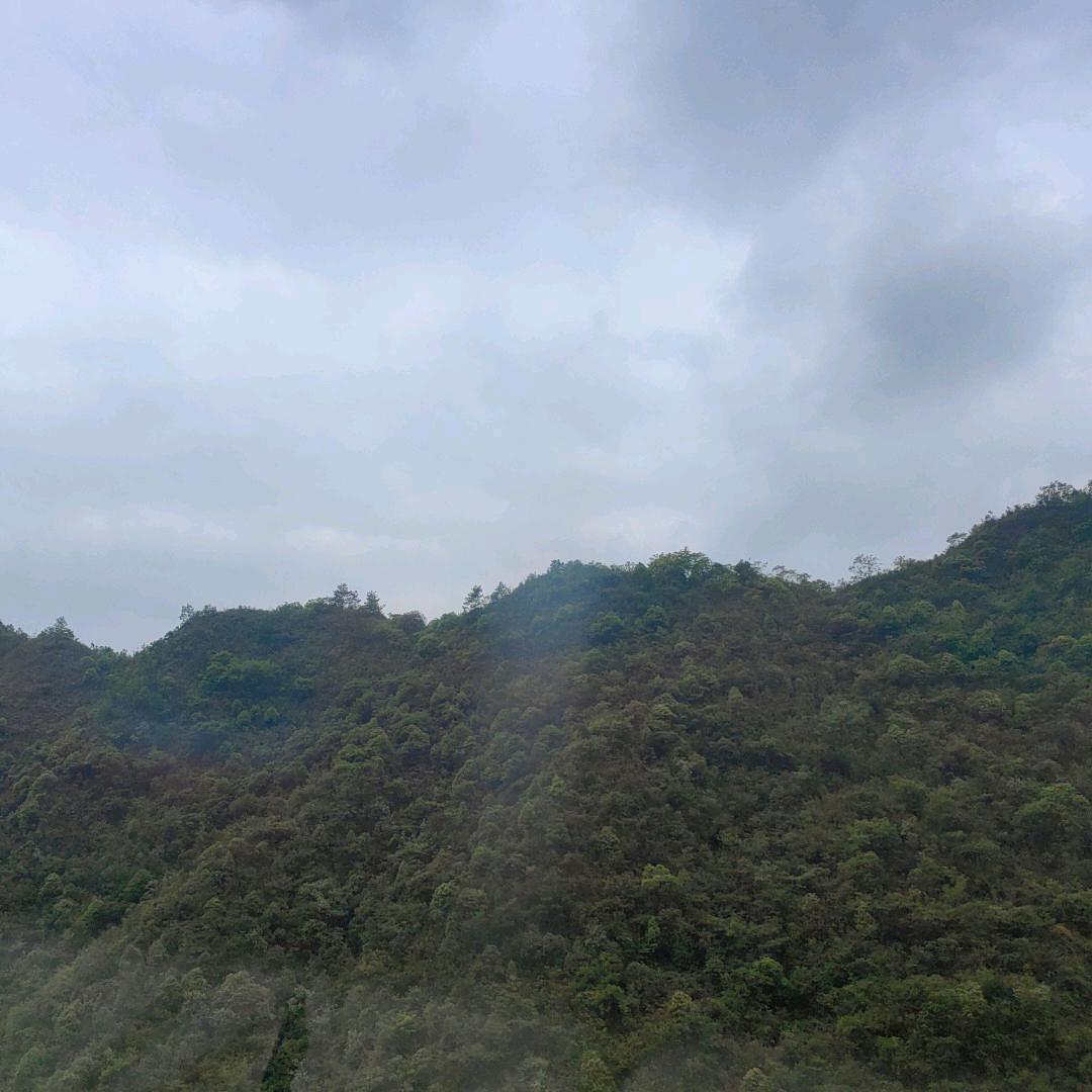 受伤的心