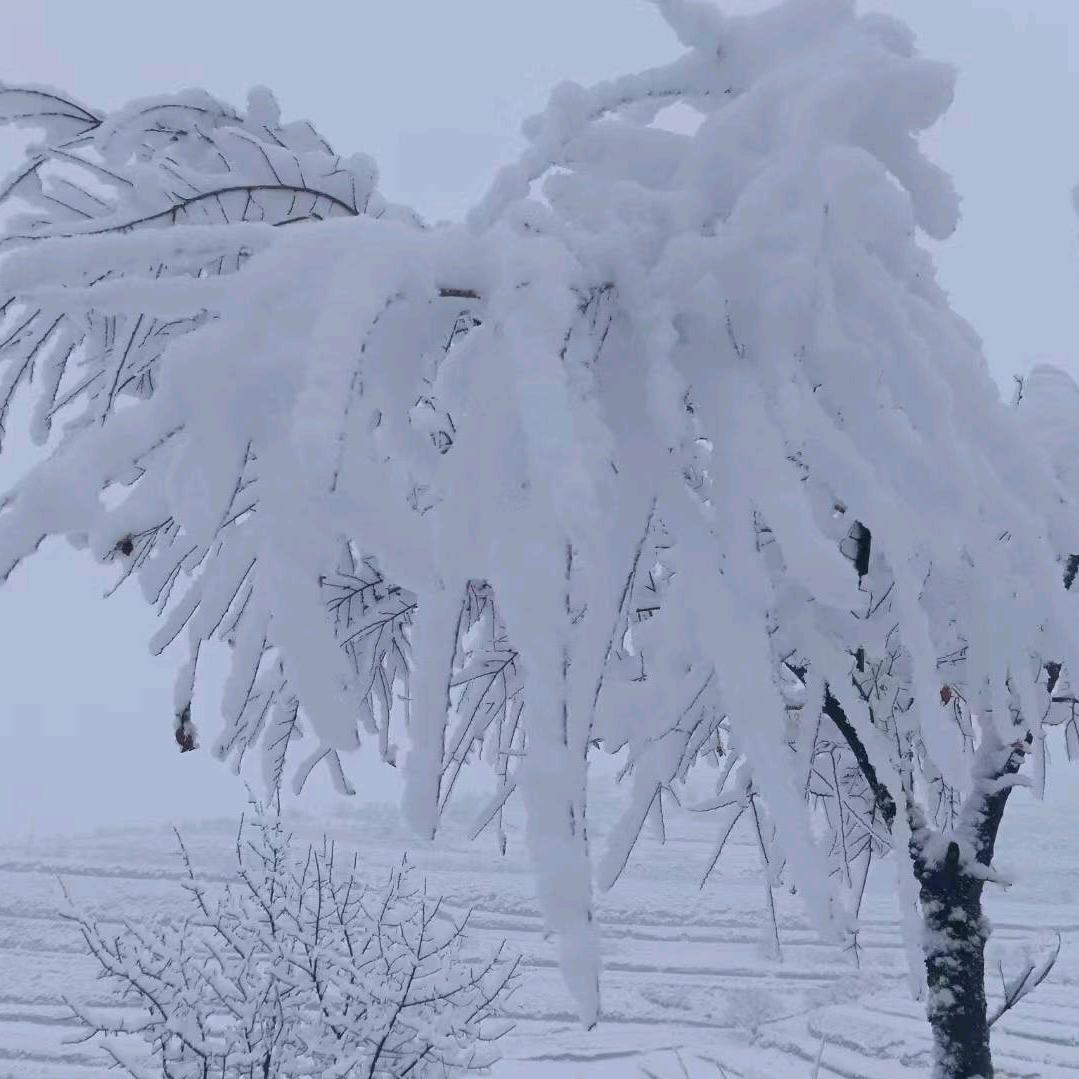 阳光暖心