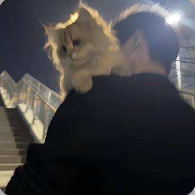 秋天的童话