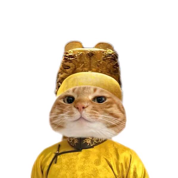 🌪️一只锦鲤