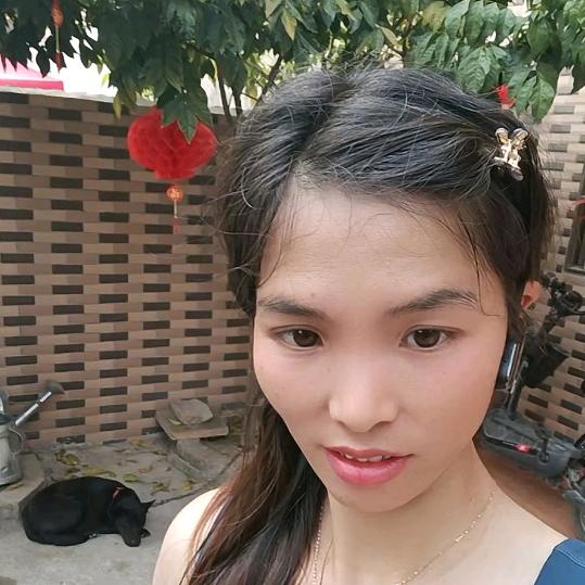 高明杨和包租婆①