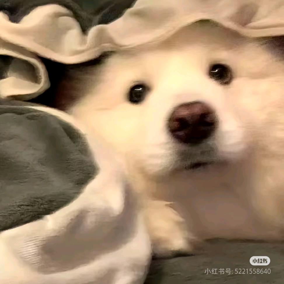 遇予