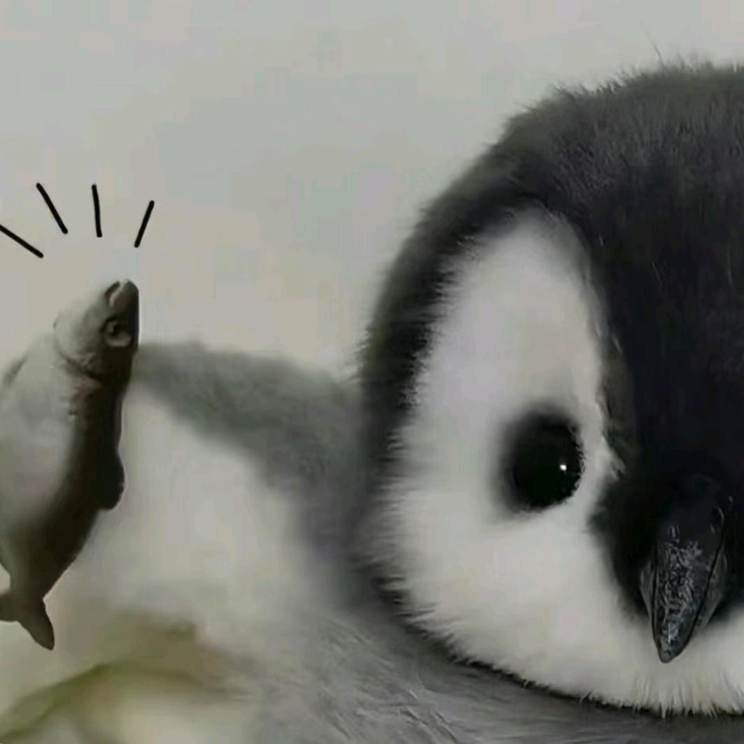吃一口饺子yu