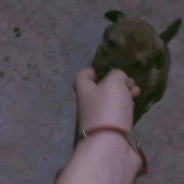🍓秀✨秀🍀