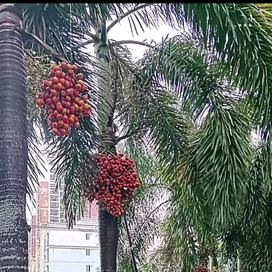 一切从零开始。