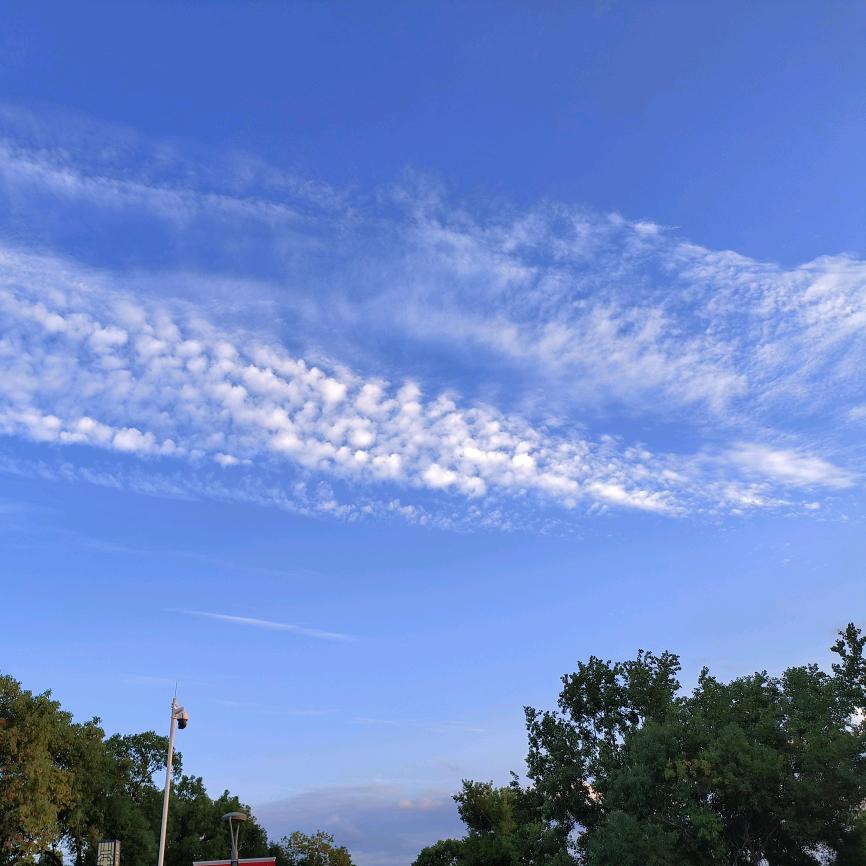 空白