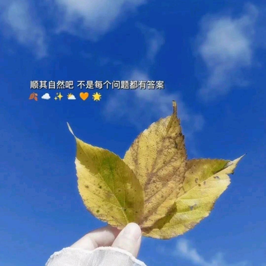 小情绪&