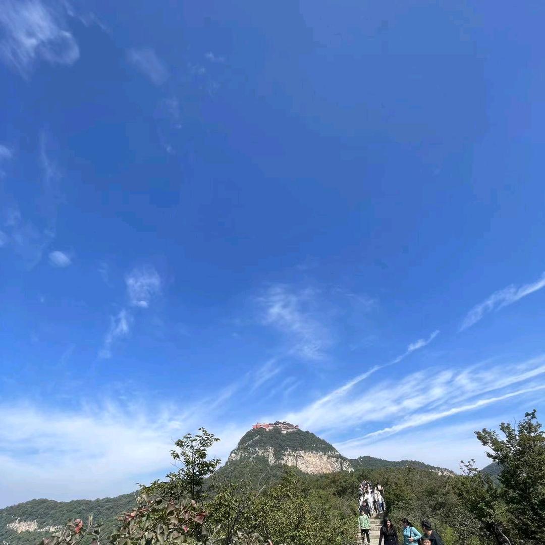 远方阿布布