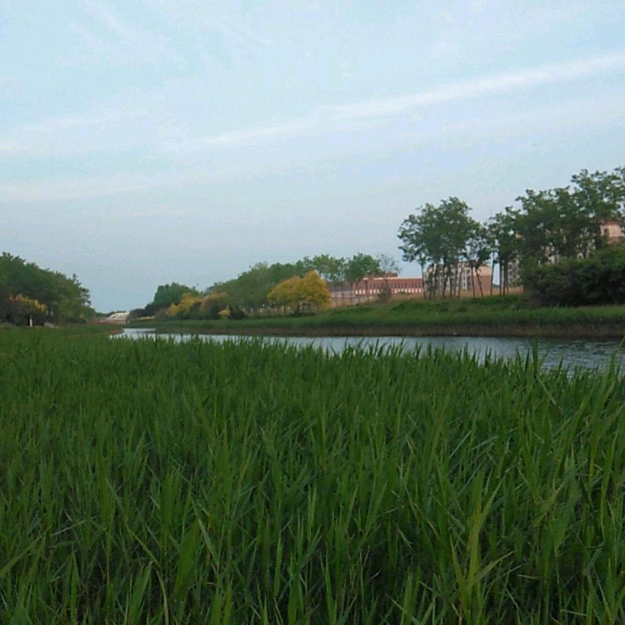 钓鱼达人于龙涛