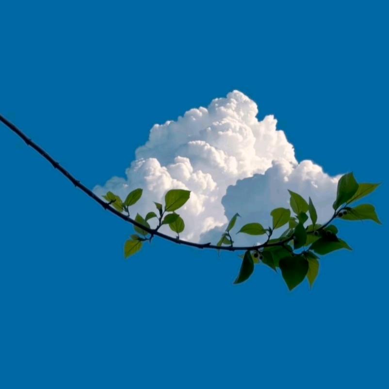 信息转运中心的饮水机