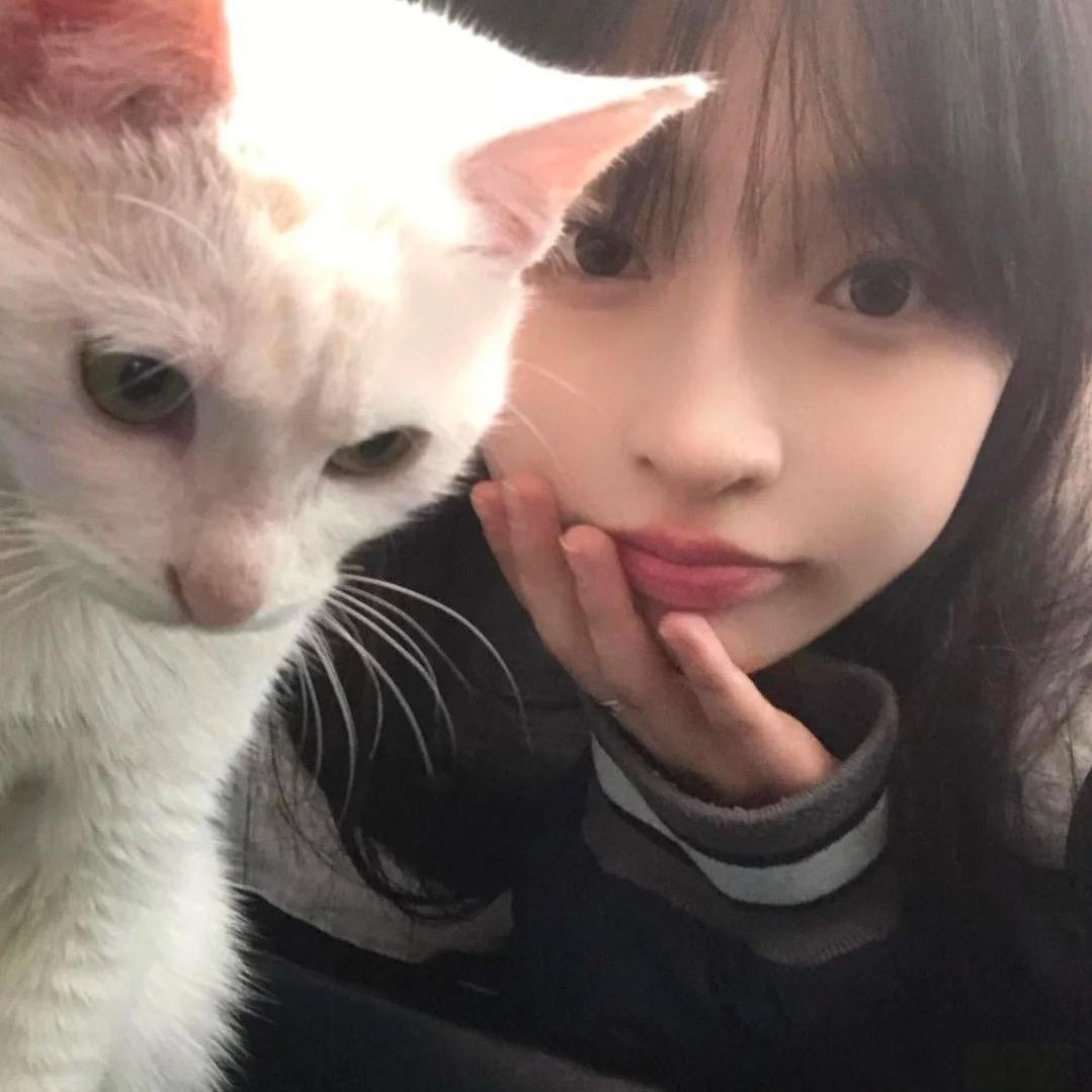 欣欣酱.